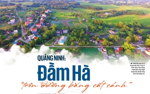 Hơn 52 nghìn tỷ cho vay nông nghiệp công nghệ cao: Vốn không thiếu, chỉ thiếu dự án có tính khả thi- Ảnh 4.