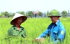 Video: Làm rõ lợi ích "ba nhà" nếu áp thuế GTGT cho phân bón- Ảnh 1.