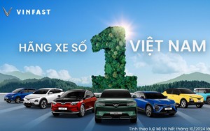 VinFast nhận hỗ trợ từ Vingroup và ông Phạm Nhật Vượng nhằm dự phòng nguồn vốn, tập trung bứt phá - Ảnh 3.