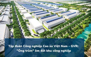 "Ông lớn" nước ngoài đầu tư khu công nghiệp 55 triệu USD tại Việt Nam - Ảnh 4.