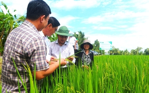 Bản tin đặc biệt: Kỳ vọng tháo gỡ nhiều vấn đề "nóng" về đất đai, môi trường qua “Lắng nghe nông dân nói”- Ảnh 1.