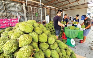 Giữa lòng một thành phố đông đúc ở Đắk Lắk bước vô một làng trồng rau đẹp bình yên thế này - Ảnh 11.