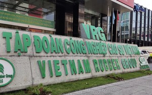 "Ông lớn" nước ngoài đầu tư khu công nghiệp 55 triệu USD tại Việt Nam - Ảnh 3.