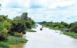 HĐND tỉnh Bắc Kạn, Khóa X thảo luận, thông qua Nghị quyết quy định chính sách về đất đai- Ảnh 6.