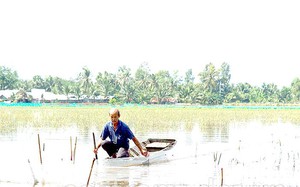 Giữa lòng một thành phố đông đúc ở Đắk Lắk bước vô một làng trồng rau đẹp bình yên thế này - Ảnh 1.