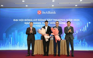 SeABank: Đặt mục tiêu lãi trước thuế gần 6.500 tỷ đồng năm 2025, tăng trưởng tín dụng 15% - Ảnh 2.