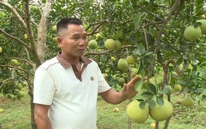 Bí thư Tỉnh ủy Vĩnh Phúc gửi "tâm thư", kiên quyết không để "lọt" người đạo đức kém vào cấp ủy khóa mới - Ảnh 3.