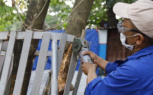 Chủ tịch Hà Nội Trần Sỹ Thanh làm Trưởng ban Phòng chống lãng phí của thành phố - Ảnh 4.