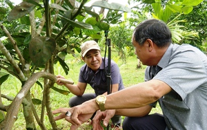 Phó Chủ tịch T.Ư Hội NDVN Phan Như Nguyện: Đã tốt, nhưng Hội Nông dân Tiền Giang quyết liệt hơn nữa trong phong trào Hội - Ảnh 6.