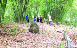 Một trong các "sứ giả" văn hóa, du lịch ở Hòa Bình là một sản phẩm nổi tiếng - Ảnh 9.