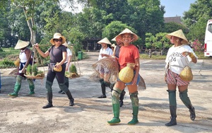 Xây dựng nông thôn Hà Nội nâng cao và kiểu mẫu: Thay đổi diện mạo, nâng cao đời sống - Ảnh 4.