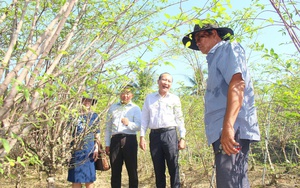 Phó Chủ tịch Thường trực Hội NDVN Phan Như Nguyện thăm mô hình trồng sầu riêng và nuôi cá thát lát tại Hậu Giang- Ảnh 5.