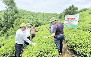 Khuyến nông - cầu nối giúp nông dân, HTX, doanh nghiệp vận hành chuỗi giá trị nông sản - Ảnh 4.