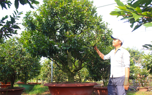 Kì tích: Một bệnh nhân bị ngừng tim khi đang làm việc tại công ty, may mắn được cứu sống- Ảnh 4.