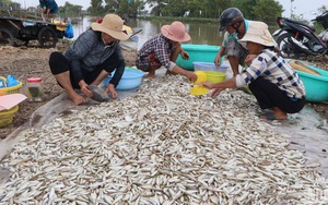 Công tác Hội, phong trào nông dân năm 2024 Bến Tre có nhiều chỉ tiêu đạt ngoài mong đợi  - Ảnh 6.