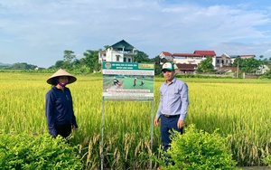 Bà Bùi Thị Thơm ghi nhận, đánh giá cao công tác Hội, phong trào nông dân tỉnh Nghệ An - Ảnh 10.