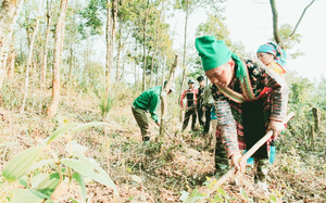 Toàn văn bài phát biểu khai mạc Diễn đàn Lắng nghe nông dân của Chủ tịch Hội NDVN Lương Quốc Đoàn- Ảnh 2.