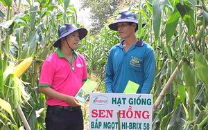 Khuyến nông - cầu nối giúp nông dân, HTX, doanh nghiệp vận hành chuỗi giá trị nông sản - Ảnh 8.