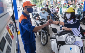 Bình Thuận: Mời gọi đầu tư vào dự án Khu nông nghiệp Hồng Thuận rộng hơn 61 ha- Ảnh 6.