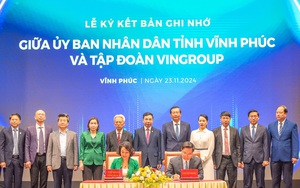 Vụ chó cắn chết bé 5 tuổi ở Vĩnh Phúc, căn cứ khởi tố tội Vô ý làm chết người- Ảnh 6.