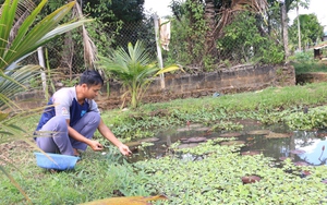 Nuôi gà thả đồi kiểu gì mà con nào cũng khỏe, thịt ngon, ông nông dân Thái Nguyên giàu hẳn lên? - Ảnh 9.