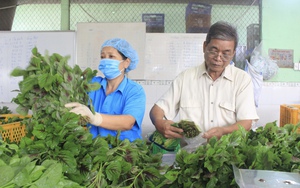 Giang Thành: Tạo sinh kế, hướng đến giảm nghèo bền vững - Ảnh 3.