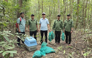 Ba người phụ nữ trộm sâm ngọc linh ở kon tum- Ảnh 3.