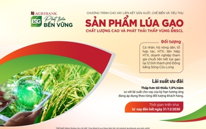 Agribank vinh dự nhận giải thưởng “Chất lượng Thanh toán quốc tế xuất sắc năm 2024” từ JPMorgan - Ảnh 2.