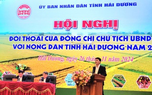 Phó Chủ tịch Trung ương Hội NDVN Đinh Khắc Đính làm việc với Hội Nông dân thành phố Đà Nẵng - Ảnh 10.