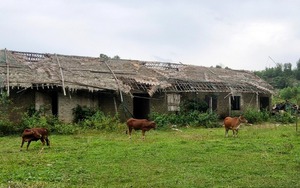 Hà Tĩnh: Tạm giữ nhiều người để điều tra việc nữ sinh 15 tuổi tử vong bên vệ đường- Ảnh 4.