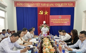 Phó Chủ tịch Trung ương Hội NDVN Đinh Khắc Đính làm việc với Hội Nông dân thành phố Đà Nẵng - Ảnh 8.