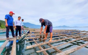 Phó Chủ tịch Trung ương Hội NDVN Đinh Khắc Đính làm việc với Hội Nông dân thành phố Đà Nẵng - Ảnh 11.