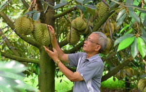 Nguyên Phó Chủ tịch huyện Bảo Lâm (Lâm Đồng) bị khai trừ ra khỏi Đảng- Ảnh 5.