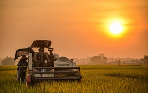 NÓNG: Công bố 42 tác phẩm đoạt giải báo chí toàn quốc viết về nông nghiệp, nông dân, nông thôn 2024 - Ảnh 4.