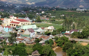 Long An kích hoạt “kho báu” nông nghiệp để làm du lịch nông thôn - Ảnh 8.