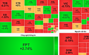 Bệnh viện TNH chốt trả cổ tức bằng cổ phiếu 15%- Ảnh 3.