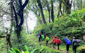 Chưa từng có: Trồng lúa giảm phát thải, một nông dân ở Kiên Giang được thưởng hơn 40 triệu đồng - Ảnh 9.