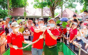 Cá bỗng, loài cá lạ quý hiếm ở Hà Giang, nuôi mãi mới lớn, hễ bán là lấy giá đại gia, giá nhà giàu - Ảnh 19.