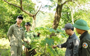 Nông dân Lam Sơn, Thanh Hóa sẽ bán tín chỉ carbon từ cây mía: Bước tiến để nông nghiệp Việt phát triển bền vững- Ảnh 7.