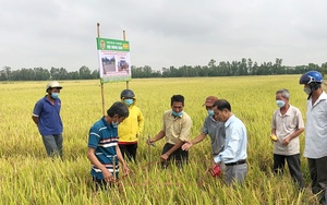 Điểm sáng mô hình “3 an toàn”, phong trào toàn dân bảo vệ an ninh Tổ quốc ở Nam Định - Ảnh 4.