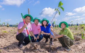 Căn hộ nội đô Hanoi Melody Residences: 3 giá trị sống tạo hấp lực với khách mua - Ảnh 4.