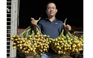 Máy sạ cụm, "trợ thủ" đắc lực của nông dân, đáp ứng tốt mục tiêu Đề án 1 triệu ha lúa chất lượng cao - Ảnh 6.