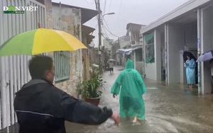 Vụ nam thanh niên vờ hỏi mua nhẫn kim cương rồi trộm luôn dưới góc nhìn pháp lý - Ảnh 5.