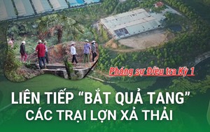 Thủ đoạn xả thải “đầu độc” môi trường của các trang trại chăn nuôi lợn tinh vi thế nào? (Phóng sự 2) - Ảnh 2.