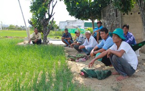 Hội Nông dân tỉnh Ninh Thuận giải ngân 500 triệu đồng cho 10 hộ hội viên vay vốn nuôi bò vỗ béo - Ảnh 5.