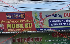 Điều tra vụ chặt phá hơn 200 cây sầu riêng trên diện tích 2,5ha tại Lâm Đồng- Ảnh 6.