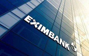 Eximbank tăng vốn điều lệ lên hơn 18.688 tỷ đồng trước thềm ĐHĐCĐ bất thường- Ảnh 4.