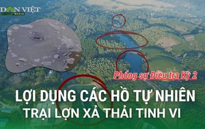 Cuộc sống người dân đang bị trại lợn xả thải gây ô nhiễm "bức tử" như thế nào? (Phóng sự 3) - Ảnh 3.