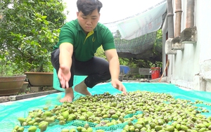 Hội Nông dân tham gia thực hiện Đề án Chuyển đổi số ngành nông nghiệp tỉnh Đồng Tháp - Ảnh 5.