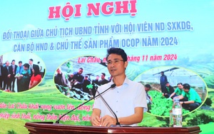 Ứng phó với biến đổi khí hậu, hành động bảo vệ vùng đất ngập nước- Ảnh 1.